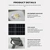 solar street lantern